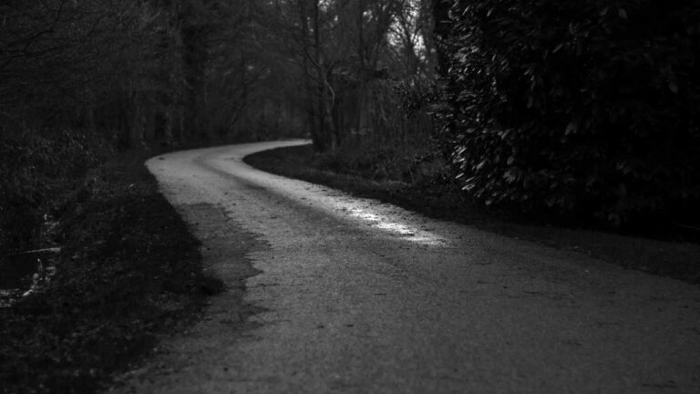 What Do Delhi Users Say In Their Cricbet99 Reviews?