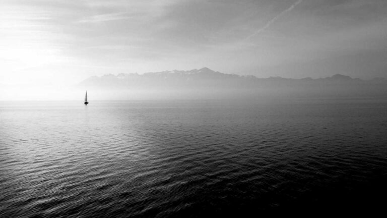 Where Can I Safely Get The 99Exch Download Link?